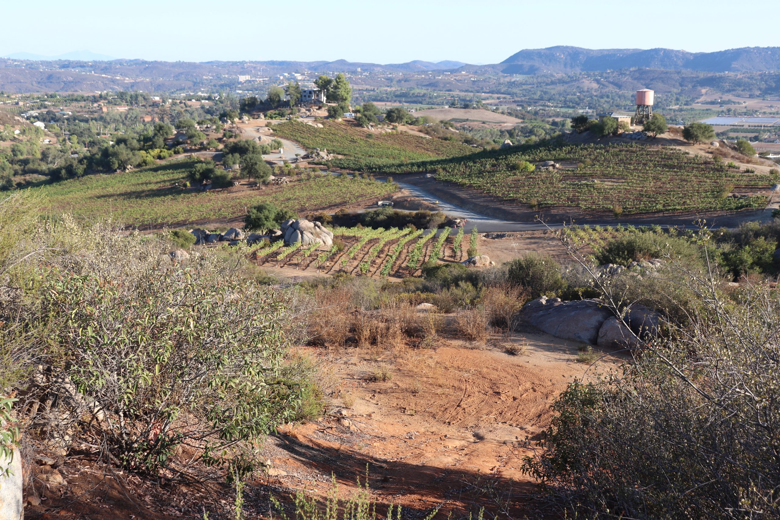 Vineyard estate grounds