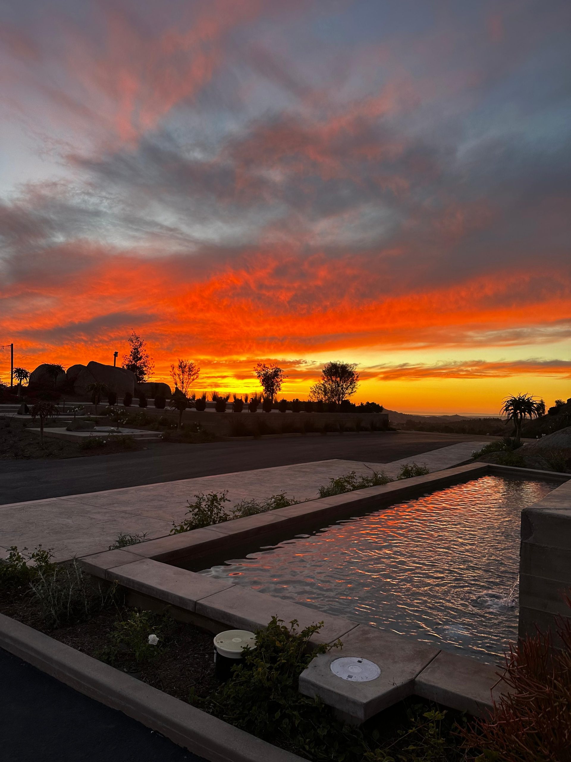 Vineyard estate view