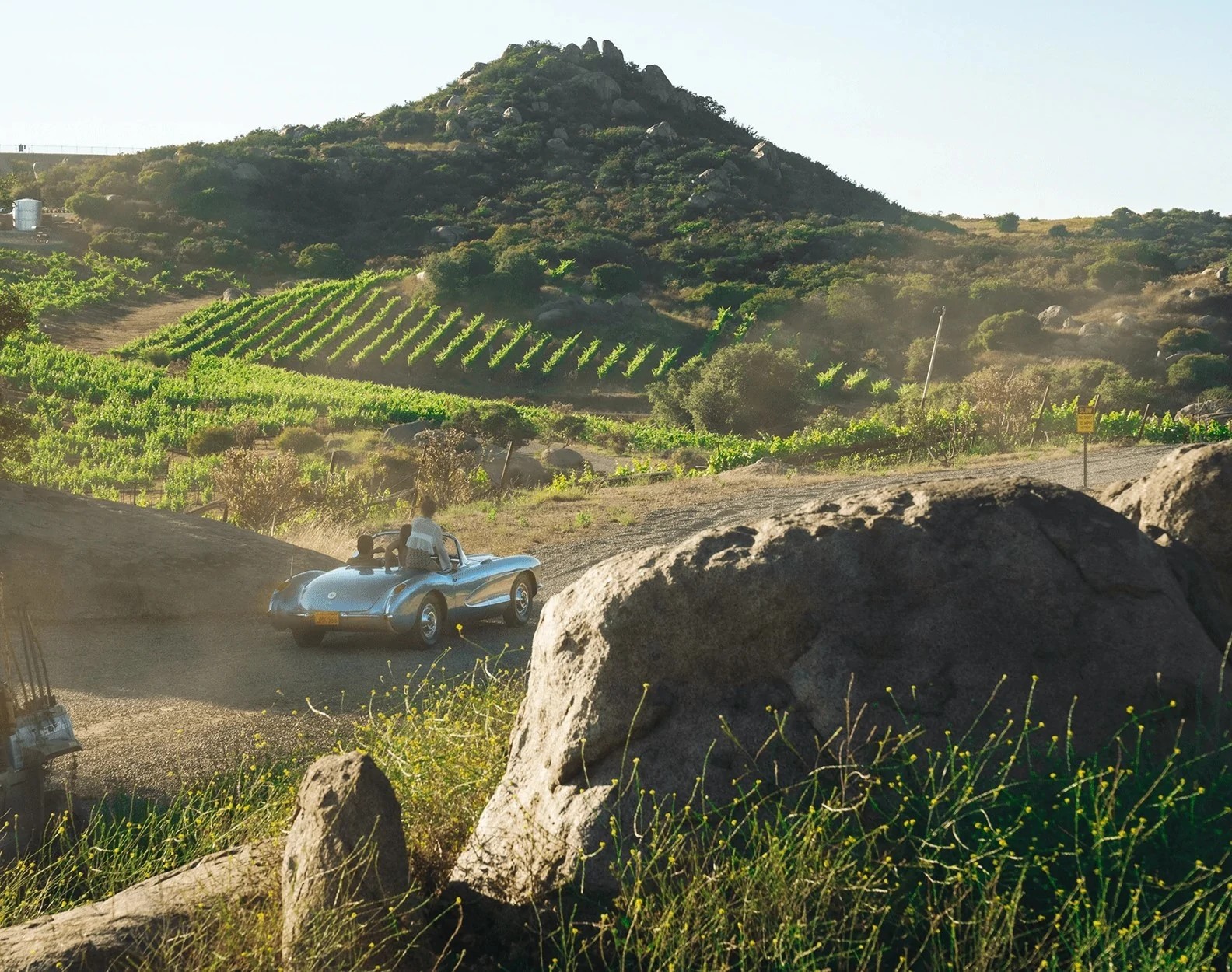 Desafío Vineyards Estate