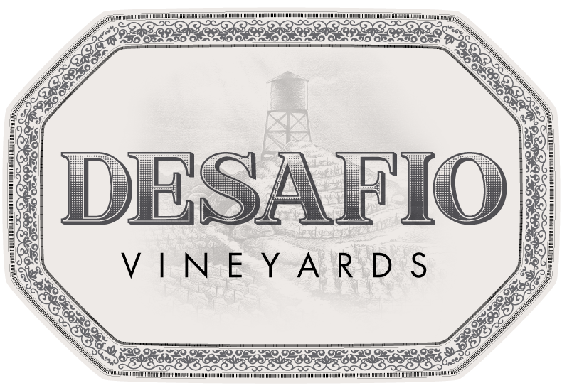 Desafio Vineyards